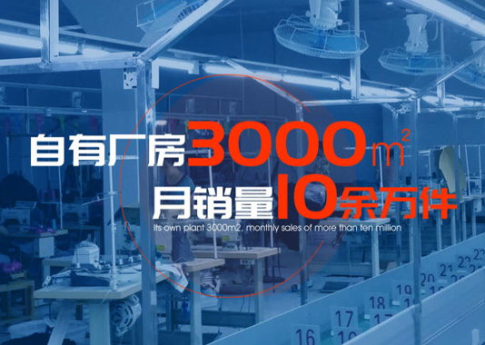 迪斯伊兒品牌網(wǎng)站建設