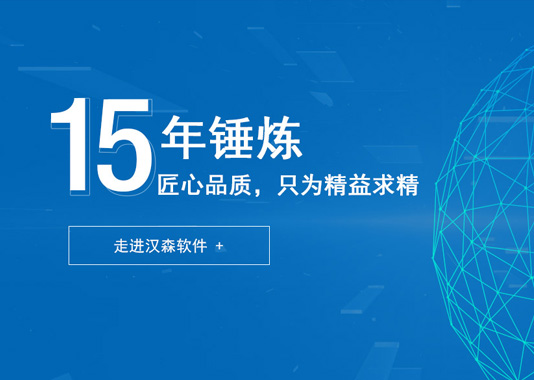 漢森軟件品牌網(wǎng)站建設(shè)