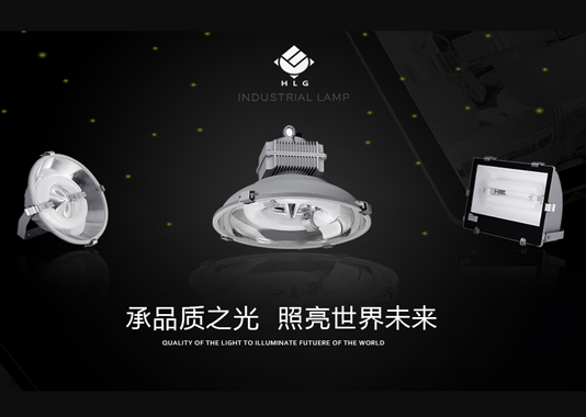 火龍果環(huán)?？萍计放凭W(wǎng)站建設