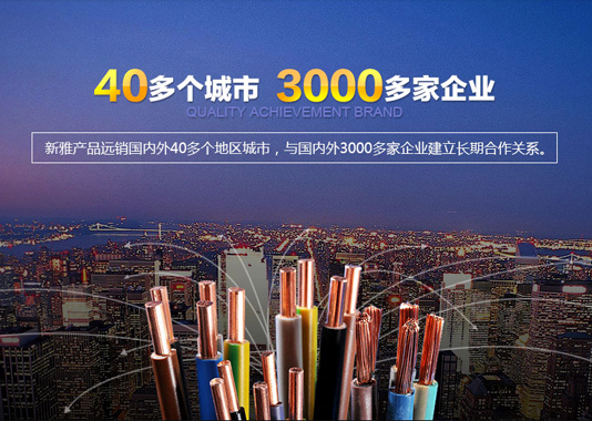 新雅電線電纜品牌網(wǎng)站建設(shè)