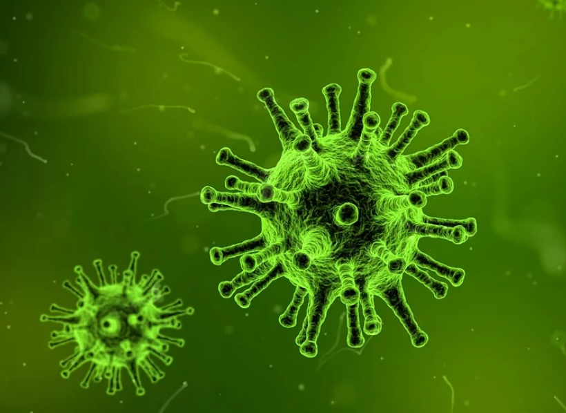 【通知】廣東發(fā)布通知：各類企業(yè)復工時間不早于2月9日24時