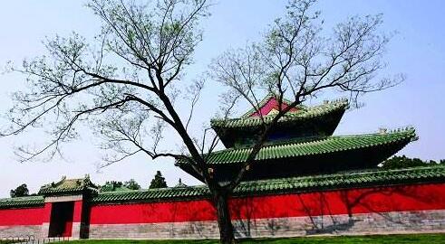 品牌網(wǎng)站建設(shè)之如何將紅綠色進行和諧搭配