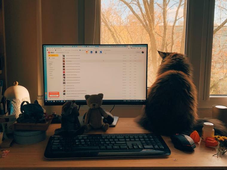 網(wǎng)站建設(shè)設(shè)置您的網(wǎng)站以取得成功